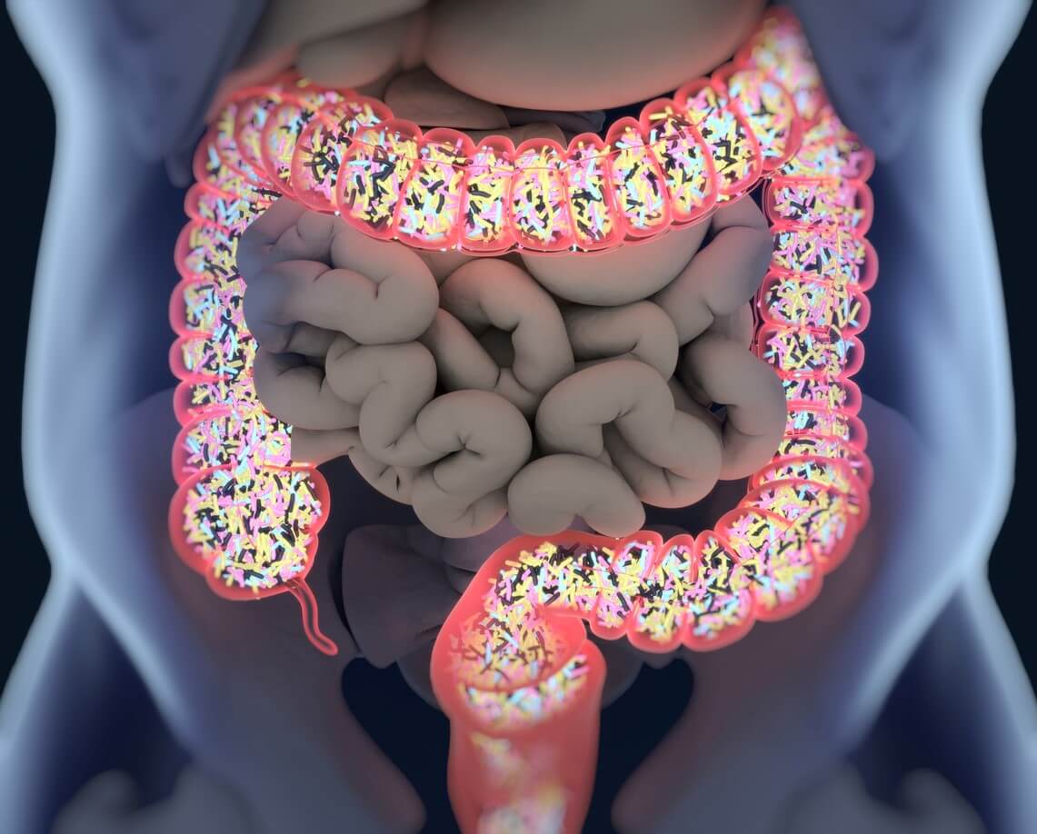 Mikrobiom im Dickdarm