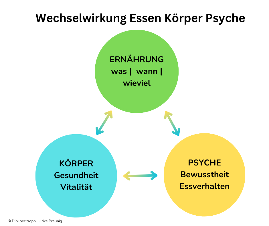 Abnehmen auf gesunde Weise Wechselwirkung Darm und Psyche Grafik